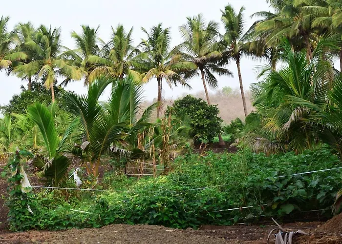Aaranya Resort