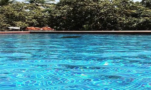 Aaranya Hotel 3*