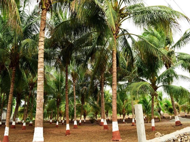 Hotel Aaranya Veraval